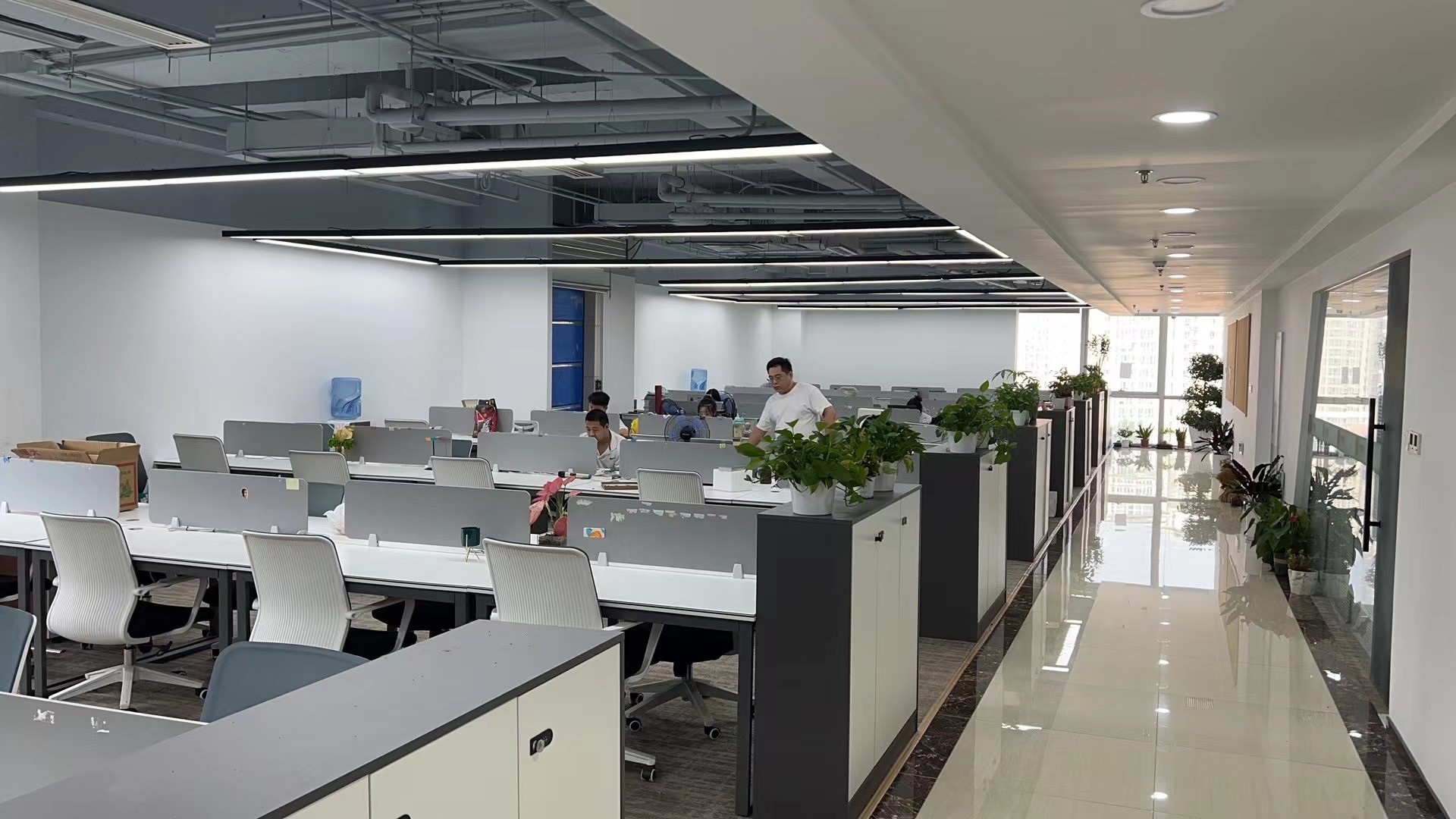 中国 Pro-Digital Technology Limited 会社概要